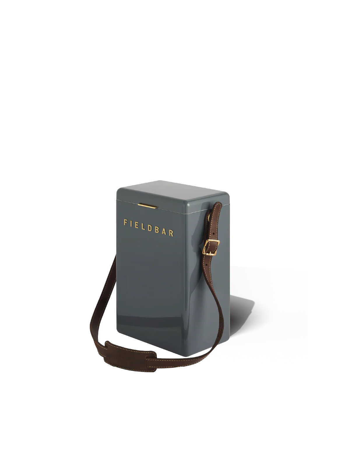 Gray electronic device with a brown strap on a white background, featuring the brand 'Fieldbar'.