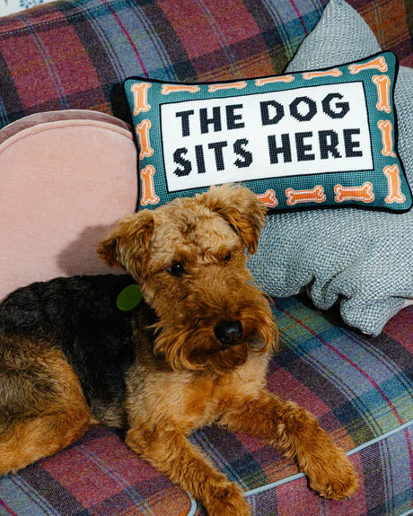 Dog lying on a plaid couch next to a decorative pillow with 'The Dog Sits Here' text.