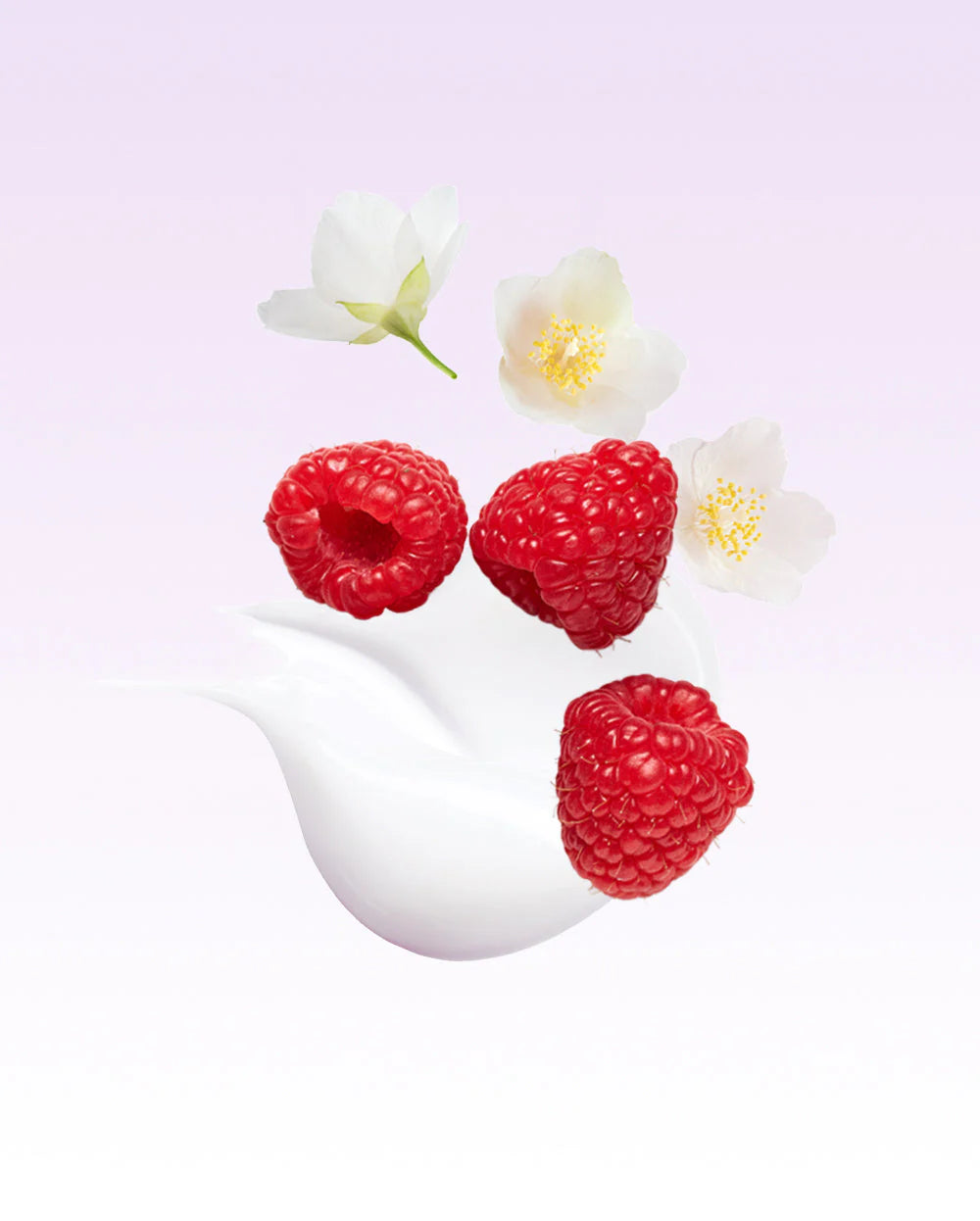 Three raspberries and their flowers on a white background