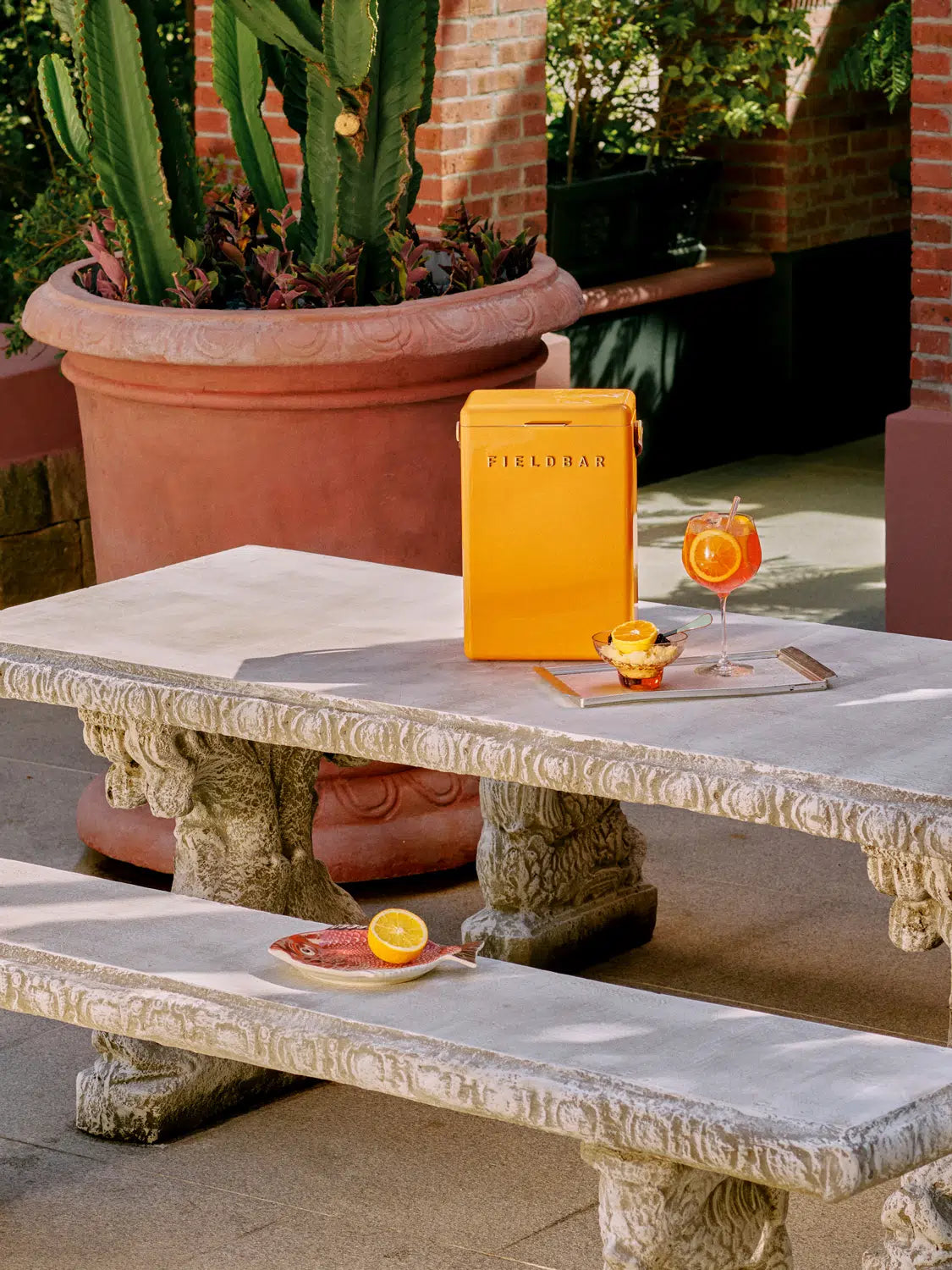 Outdoor setting with a stone table, potted cactus, and a yellow box labeled 'Ferrero Rocher'.
