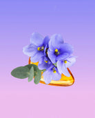 Purple flowers in a glass bottle on a purple background