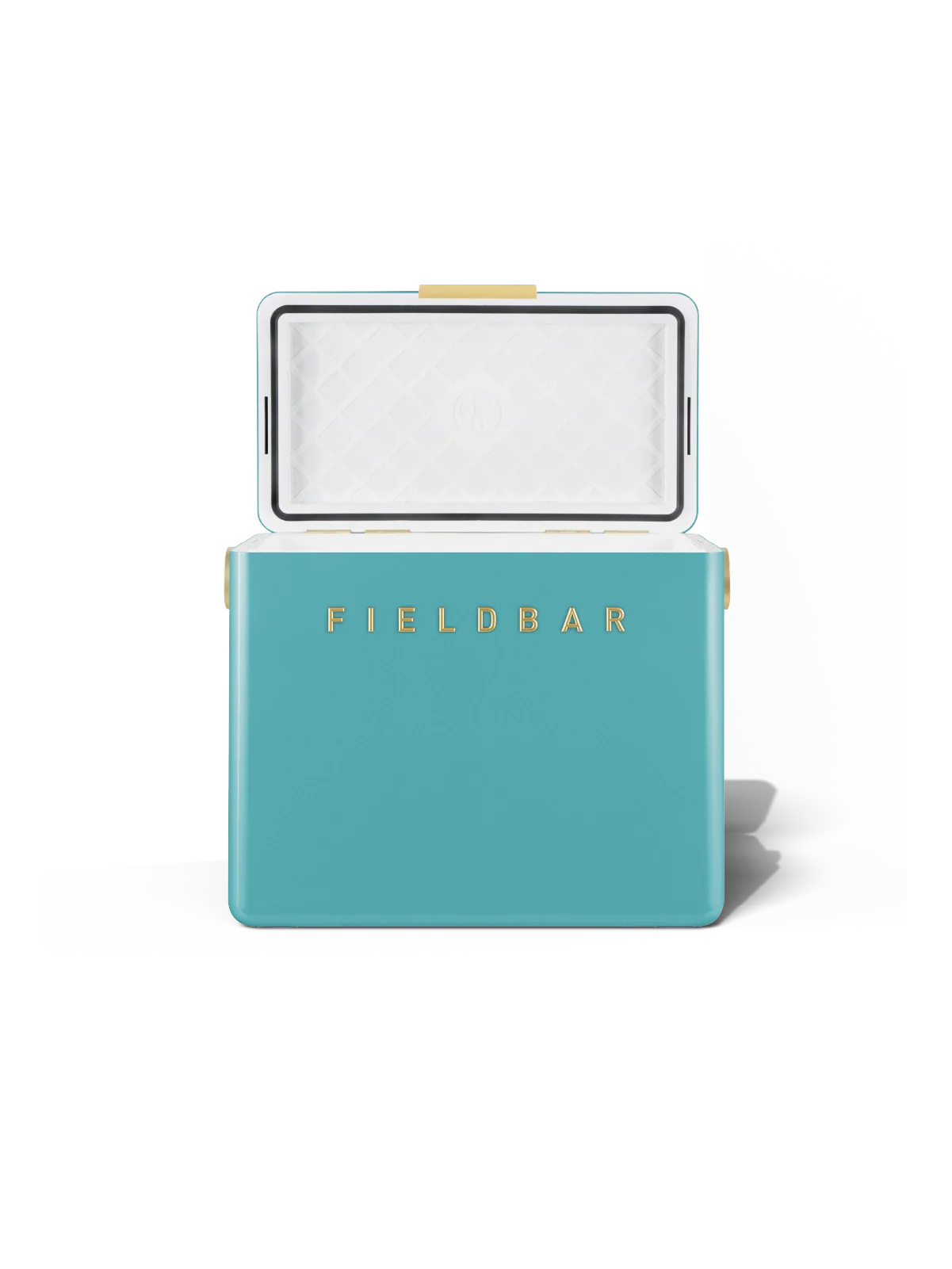 Teal Fieldbar product on a white background