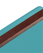 Brown leather strap on a turquoise background