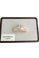 A pearl-style claw hair clip with a starfish accent, displayed on a textured gray fabric insert inside a dark brown wooden frame. A white label in the bottom-left corner reads 'ROSE MEANS LOVE'.