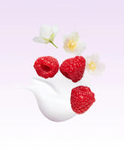 Three raspberries and their flowers on a white background