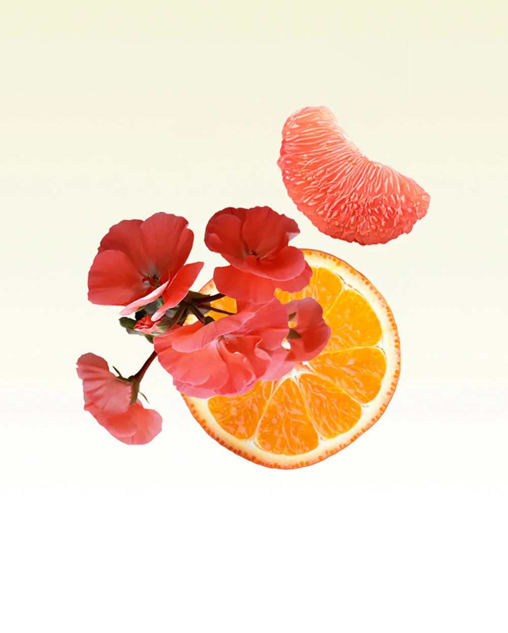 An orange slice, red floral branch and a peeled grapefruit slice on a white background.