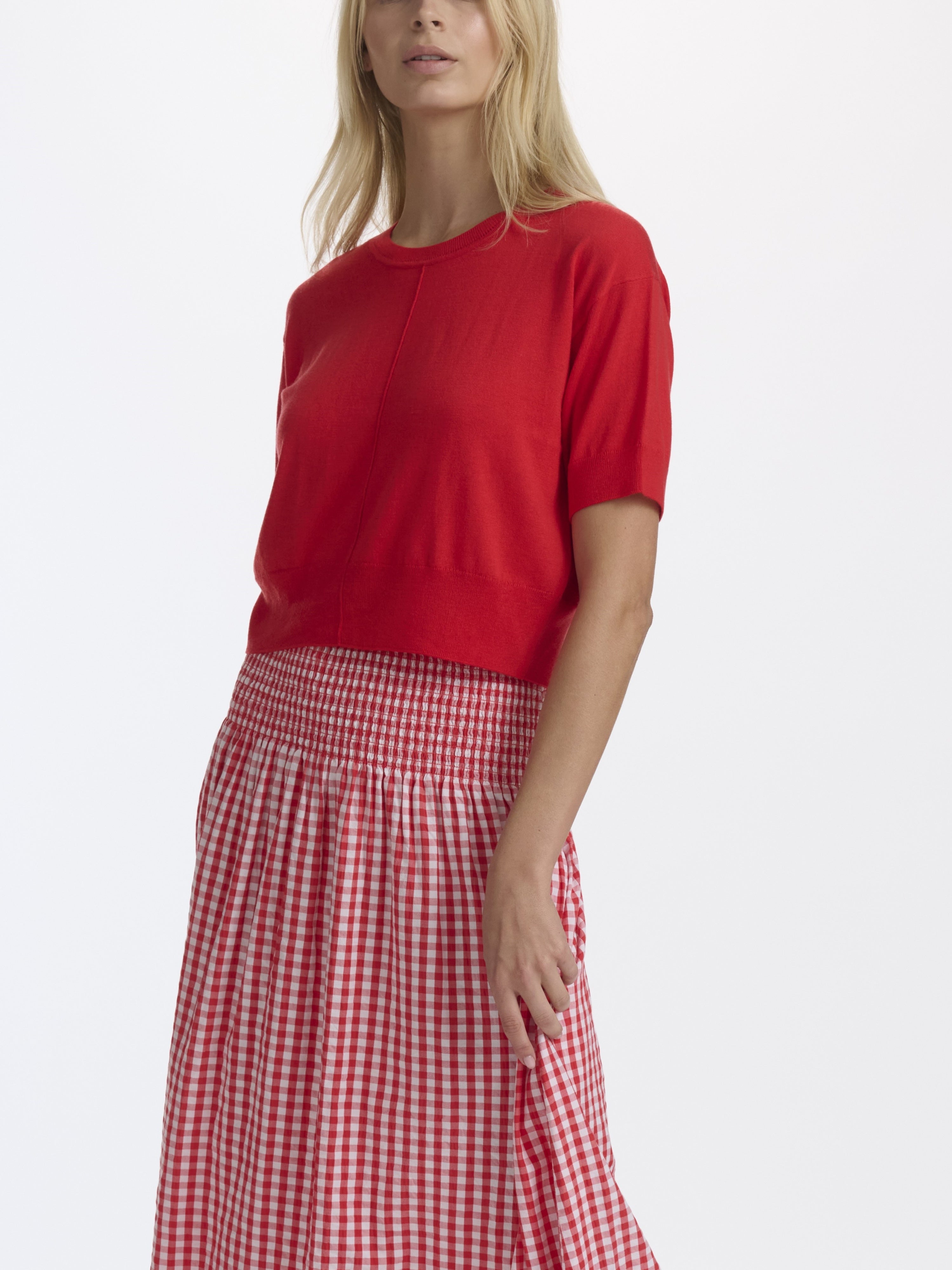 Woman wearing a red top and red checkered skirt on a white background